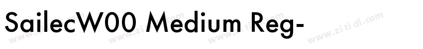 SailecW00 Medium Reg字体转换